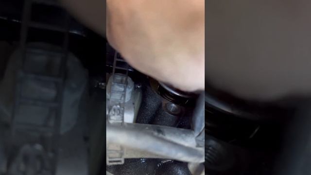 Audi Thermostat renewed A4 B7 #foryou #foryoupage #viralvideo #tiktok смотреть онлайн