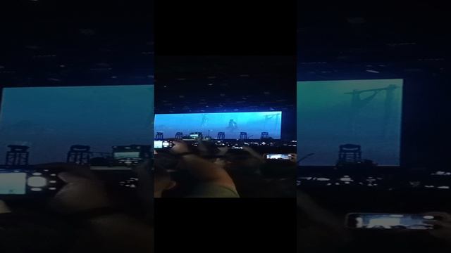 Киш медведь 🐻