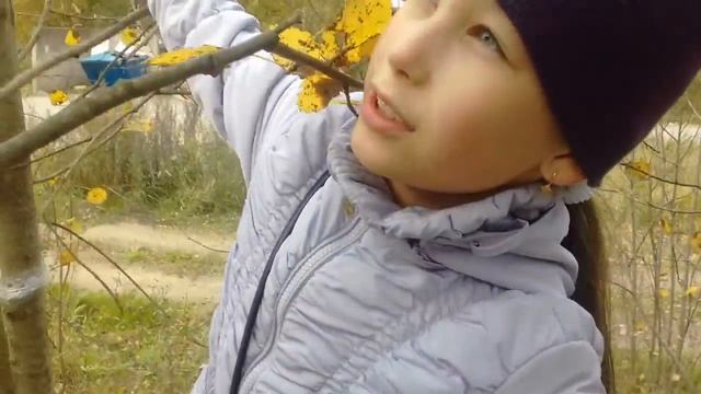 Моё сертолово? смотреть онлайн
