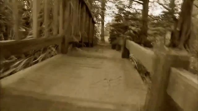 Dogs 101 Keeshond￼ ENG￼ смотреть онлайн