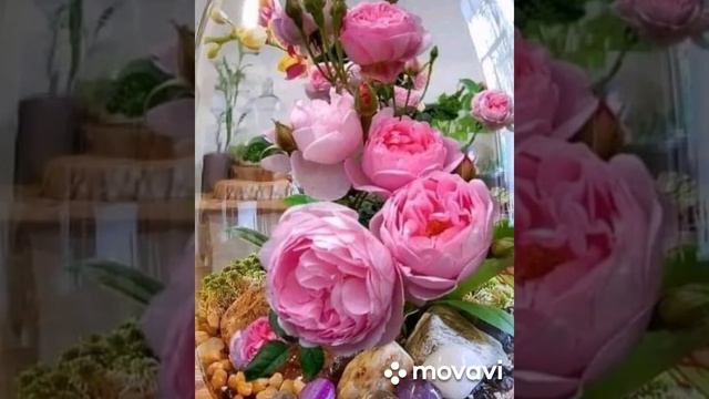 МУДРЫЕ МЫСЛИ, ЦИТАТЫ И АФОРИЗМЫ| ПРЕКРАСНЫЕ ЦВЕТЫ| СБОРНИК ЛУЧШЕГО смотреть онлайн