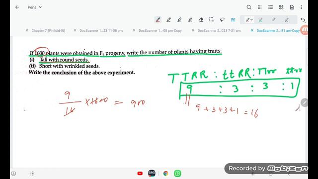 If 1600 plants were obtained in F2 progeny, write the number of plants having traits :(i) Tall with смотреть онлайн