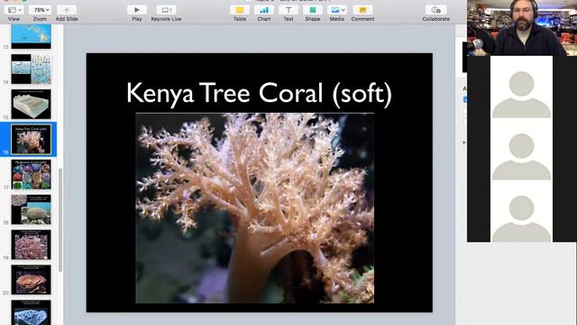Coral Reef Life - Oceanography - 1/5/20 смотреть онлайн