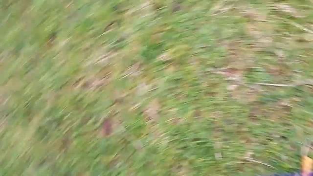 WYKOPKI Z MAKRO RACEREM W UK смотреть онлайн