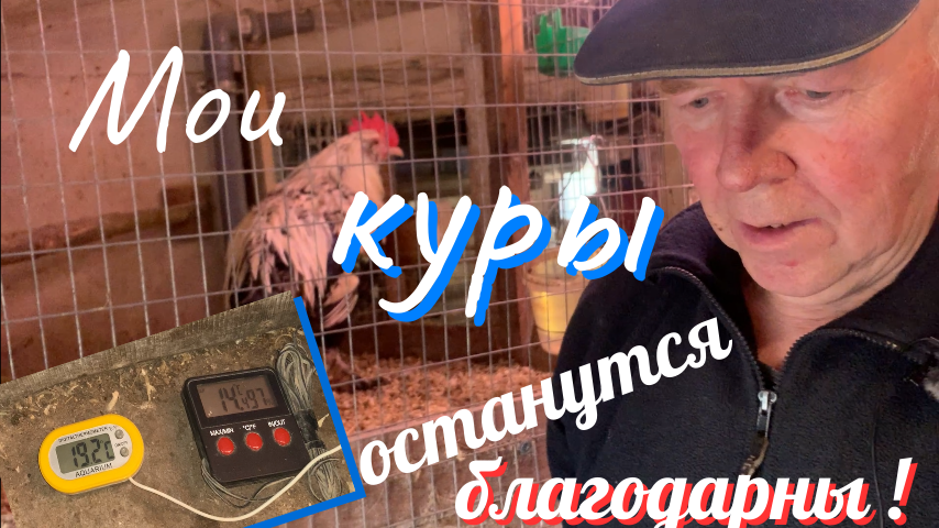 Не ожидал, что так просто сделать в курятнике тёплый пол