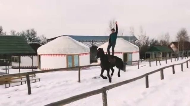 Трюк Стойка. (Джигитовка) #стойка #трюк #каскадёр #лошадь #конь #скорость #stunt #horseriding #hor смотреть онлайн