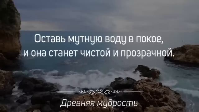 ОЧЕНЬ МУДРО СКАЗАНО! ЦИТАТЫ (Мудрость веков) смотреть онлайн