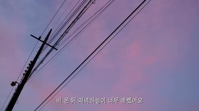 어느 여름날의 단상들, 일상의 리듬을 찾는 방법 | 냥숲 Vlog