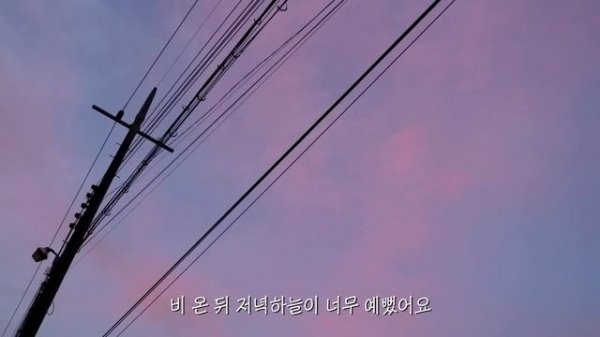 어느 여름날의 단상들, 일상의 리듬을 찾는 방법 | 냥숲 vlog