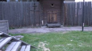 Ежедневная дрессировка. Ротвейлер