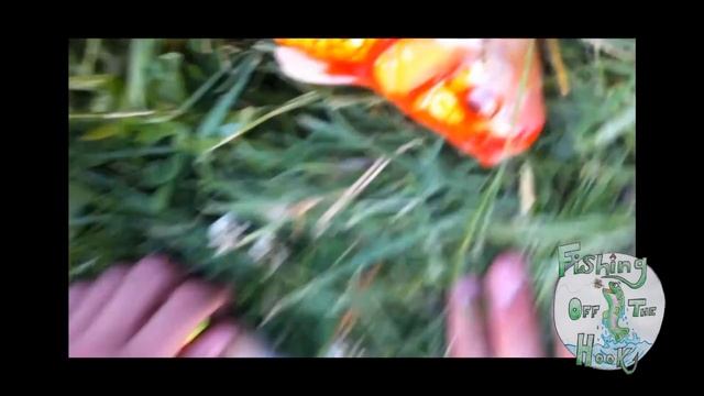 Hand-Line Koi Fishing - Fishing Off the Hook смотреть онлайн