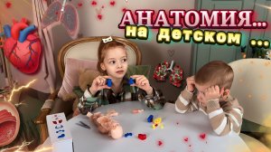 Анатомия 🫀 НА ДЕТСКОМ 🧍🏼♀️🧍🏼😍🍃ПОЛЕЗНО И ПРОСТЫМИ СЛОВАМИ 👌🏻