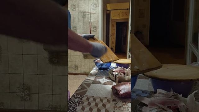 Тала из сига