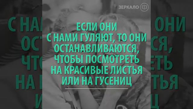 Сочинение ребенка о бабушке. смотреть онлайн