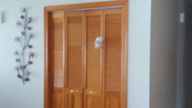 OWLEEZ FLYING OWL TOY REVIEW | TIPS AND TRICKS | DEMO AND REVIEW | SPIN MASTER смотреть онлайн