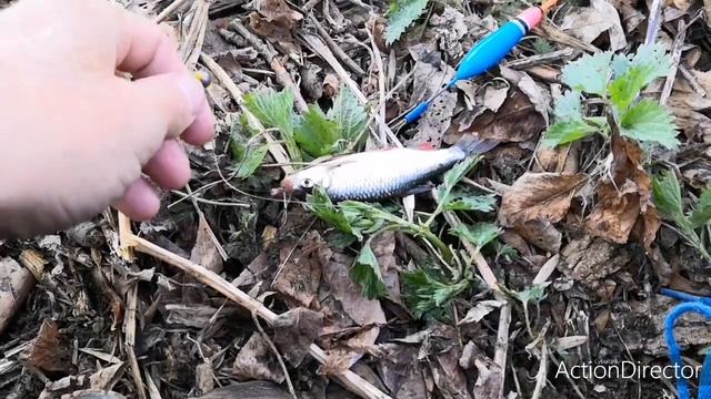 Ловля карася ранней весной на реке на поплавочную удочку часть 2 смотреть онлайн