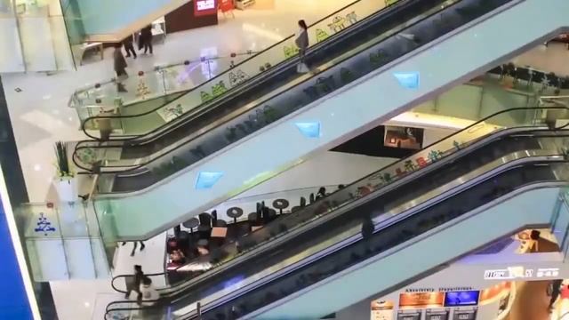 Голографическое оборудование смотреть онлайн