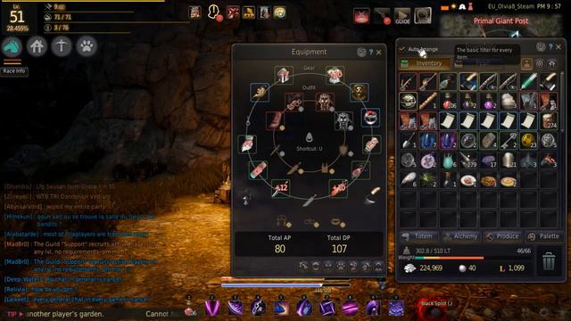 [PC-ITA] Black Desert Online (Parte 5):Quanto sono utili i pets! смотреть онлайн