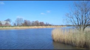 Я  Люблю тебя жизнь!