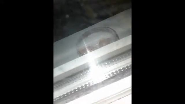 Опыты со слаймами 😍♡ Супер тянущийся слайм 😥? смотреть онлайн