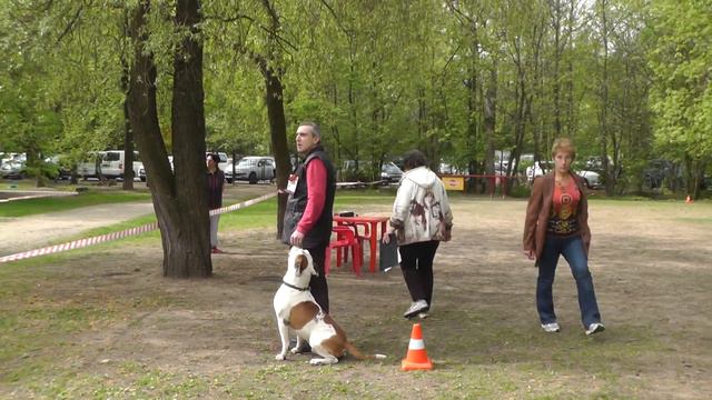 Чемпионат Москвы 2014 г. смотреть онлайн
