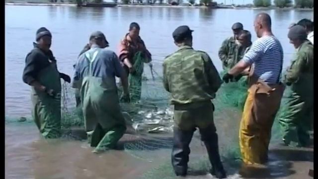 Сход граждан с.Цветное,с.Мултаново смотреть онлайн