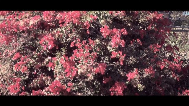 Hiltcher Park Fullerton CA Testing Sony HX100V Slow Motion смотреть онлайн