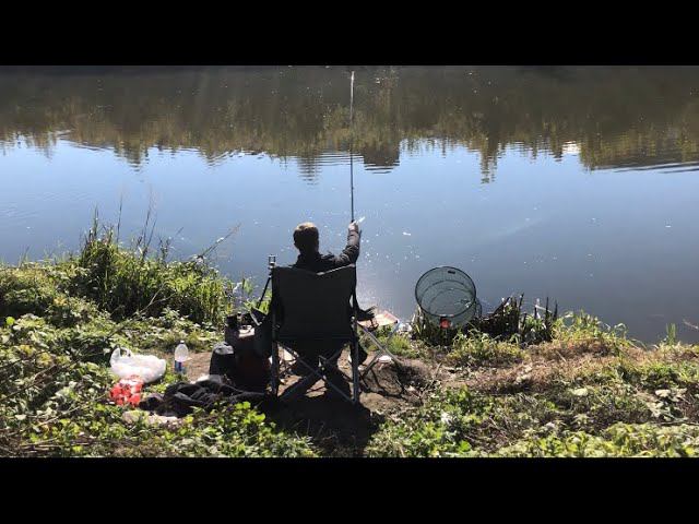 ФИДЕР НА РЕКЕ ОСЕНЬЮ где ИСКАТЬ и КАК ПОЙМАТЬ РЫБУ смотреть онлайн