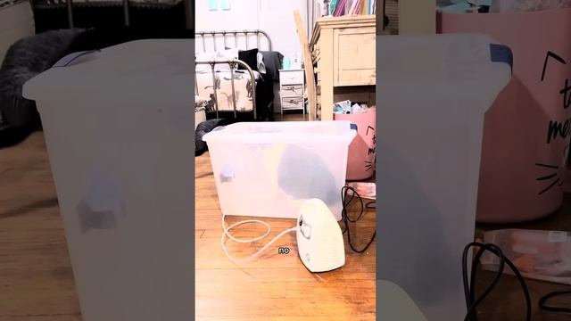 Kitty Soap Opera: Chapter 40... The Sass Mouth, Alcoholic, and Catnip Dealer Kitties смотреть онлайн