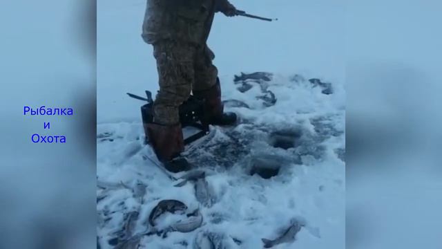 Удивительный улов Вот это Рыбалка #65 смотреть онлайн