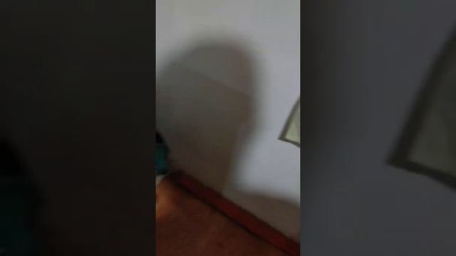 Места вакумный насос. установка пресконтроль насоса. #клапан #реле #насос смотреть онлайн