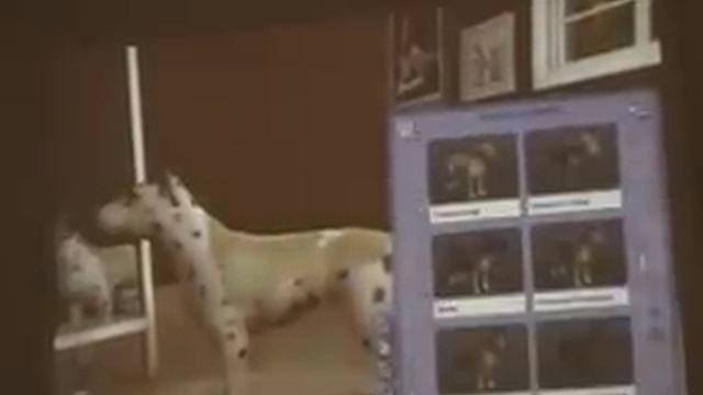 The sims2 pets create a pet смотреть онлайн
