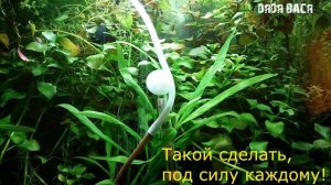 CO2 диффузор из веточки рябины в действии! Распылитель углекислого газа, микро пузырьки