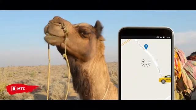 МТС - Интернет в роуминге. Верблюд смотреть онлайн