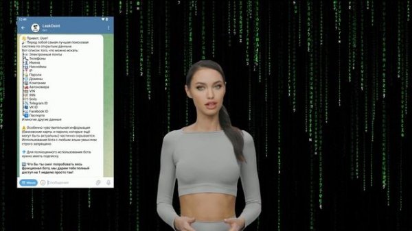 LeakOSINT — бот пробива в телеграм для поиска из открытых источников