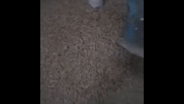 Гранулирования Сосновых Опилок После Айроденомической Сушки! Granulating Pine Sawdust After Aerodyn смотреть онлайн