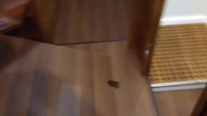 Обзор океанской яхты Garcia 52. Часть 2, интерьер