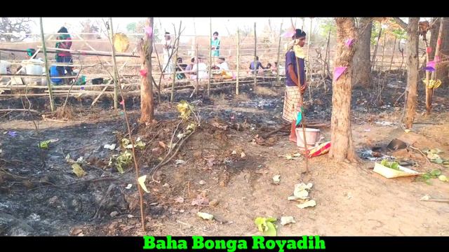Jaher Baha Bonga Royadih 2021 // Santhali Traditional video смотреть онлайн