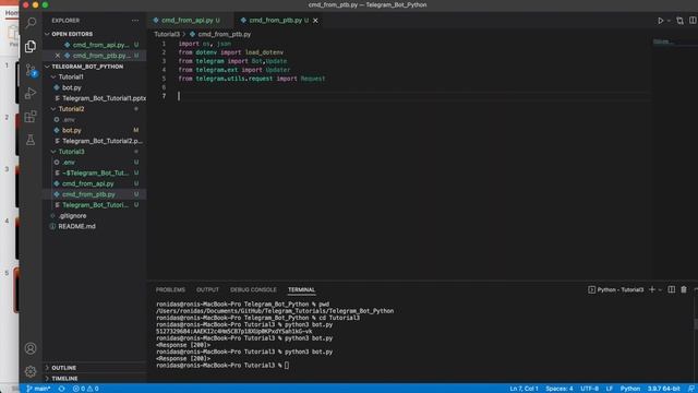 Telegram Bot Tutorial With Python|How To Add Commands On Telegram Bot Using Python|Tutorial 3 смотреть онлайн