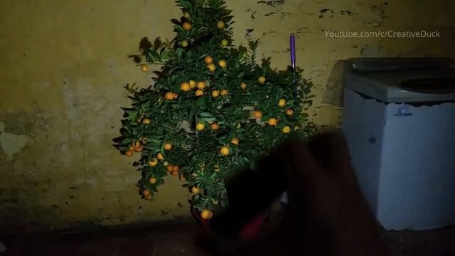 Review open inside headlight Dim LED смотреть онлайн