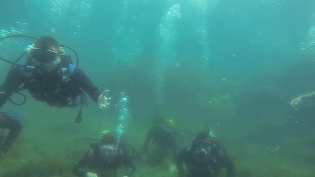 Дайвинг в Гурзуфе