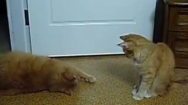 РЫЖИЕ! смотреть онлайн