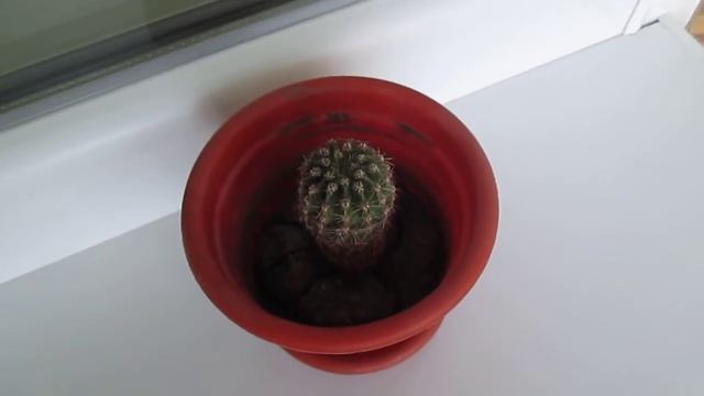 Canon A2500 VIDEO TEST/Сanon A2500 ВИДЕО ТЕСТ смотреть онлайн