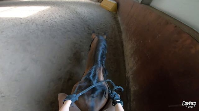 тренировка БЕЗ СЕДЛА | 27 ИЮНЯ 2021 | GoPro смотреть онлайн
