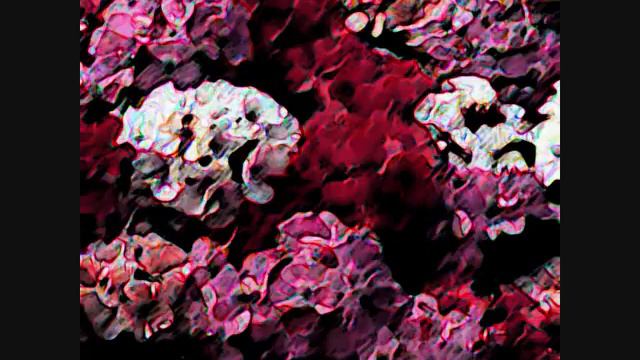 KARIZMA TEXTILE DESIGNS - GERANIUM (black) смотреть онлайн