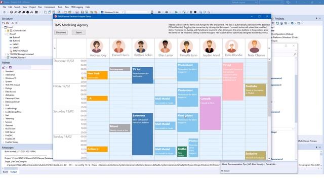 TMS FNC UI Pack: Planner control for FireMonkey смотреть онлайн