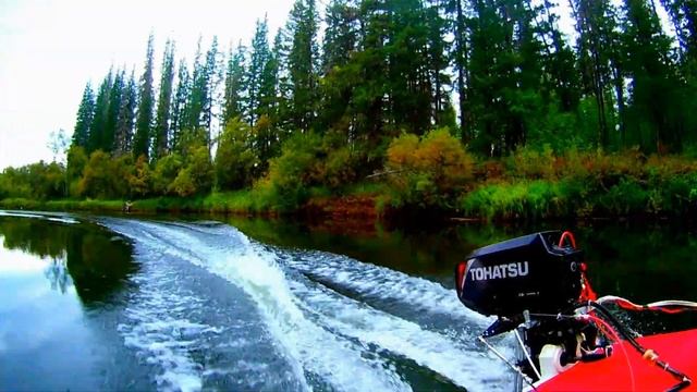 Возвращение в Тайгу / Returning To The Taiga