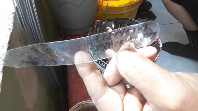 Transplante de echeveria Black Knight смотреть онлайн
