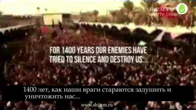 Мы-шииты Али (а)