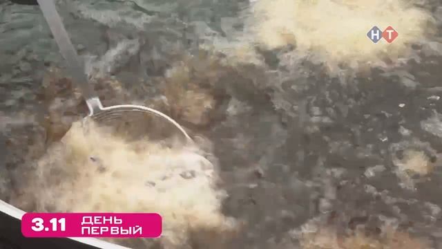 Фестиваль черноморской рыбы «ХАМСА